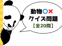 ひっかけクイズ 小学校高学年向け問 小学生におすすめ面白い 盛り上がる問題 クイズ王国
