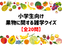 子供向けまるばつクイズ 全問 簡単 面白い ゲーム問題を紹介 クイズ王国