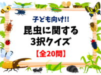 野菜クイズ全問 保育園 幼稚園児向け 食育に最適なマルバツ問題を紹介 クイズ王国