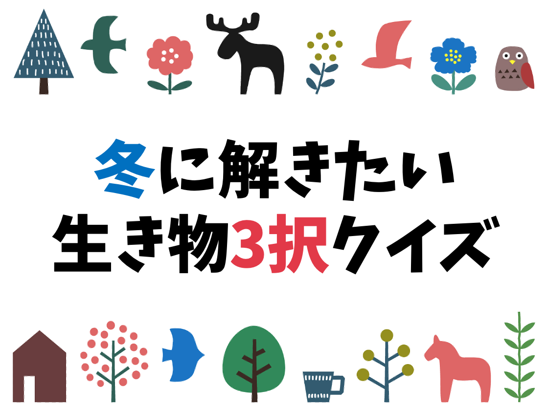 冬の生き物に関する雑学クイズ 全問 みんなが楽しめる面白い問題を紹介 クイズ王国