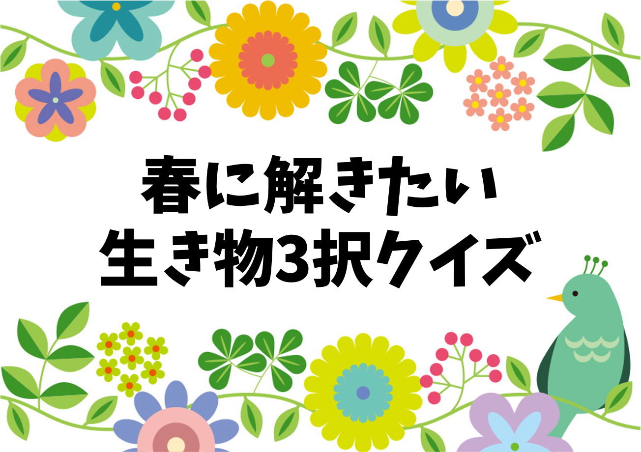 春の生き物あてクイズ全問 子ども向け おもしろい雑学問題を紹介 クイズ王国