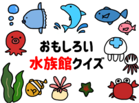 子供向けまるばつクイズ 全問 簡単 面白い ゲーム問題を紹介 クイズ王国