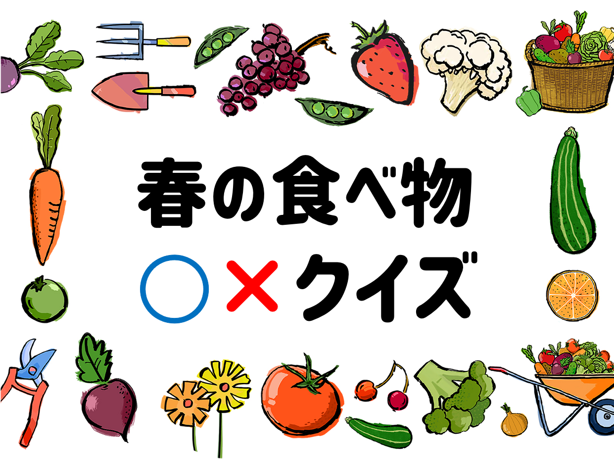 春に解きたい食べ物 クイズ 簡単 全問 保育園 幼稚園でおすすめの問題 子供向け クイズ王国