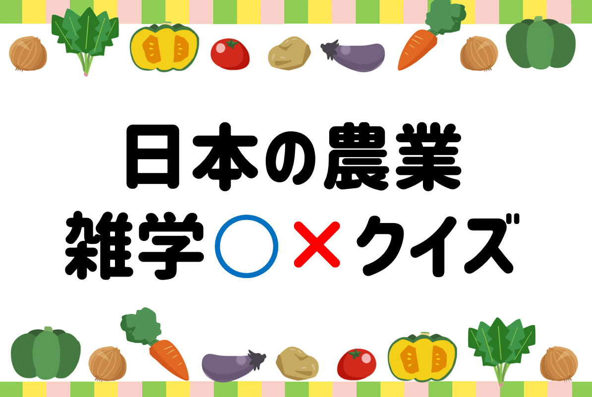 食べ物クイズ クイズ王国