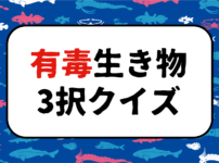 低学年向けクイズ 全問 小学校で盛り上がる面白い雑学3択問題を出題 クイズ王国