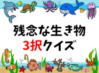 低学年向けクイズ 全問 小学校で盛り上がる面白い雑学3択問題を出題 クイズ王国