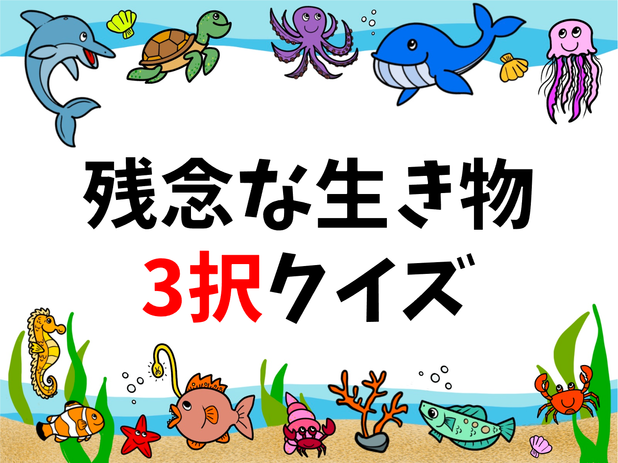 動物マルバツクイズ全問 幼児向け 保育園 幼稚園でおすすめの面白い問題を紹介 クイズ王国